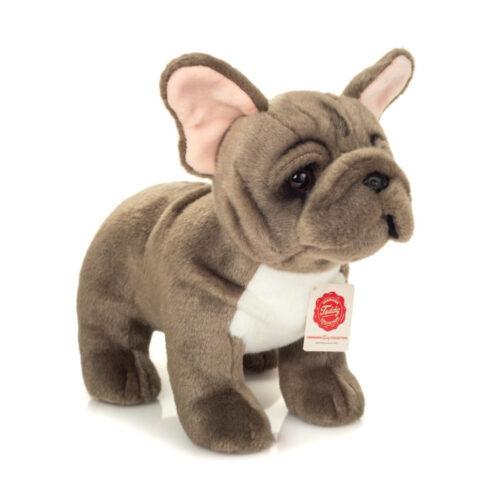 Französische Bulldogge stehend grau 30 cm