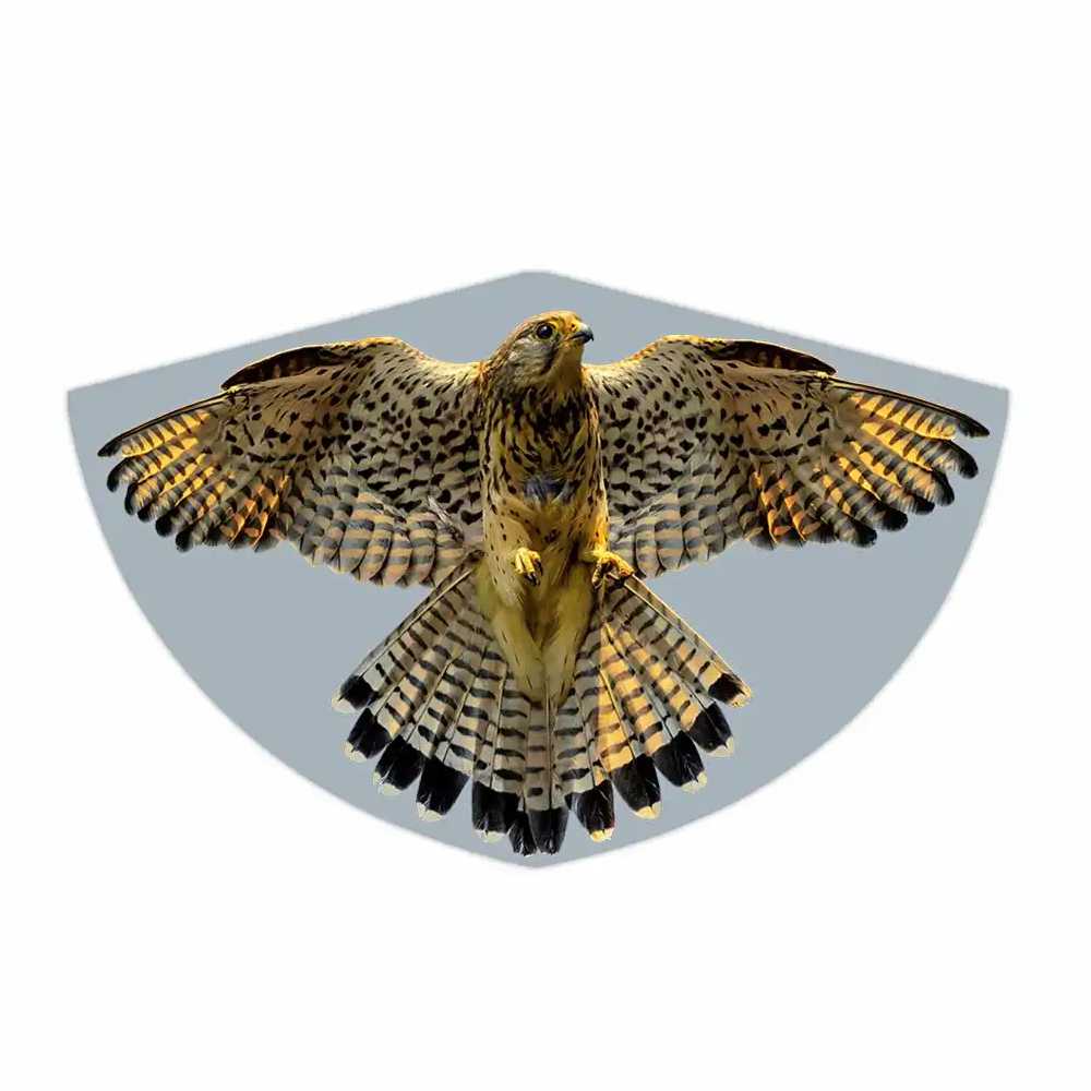 Kinder-Drachen Falke 92x62cm PE Einleiner