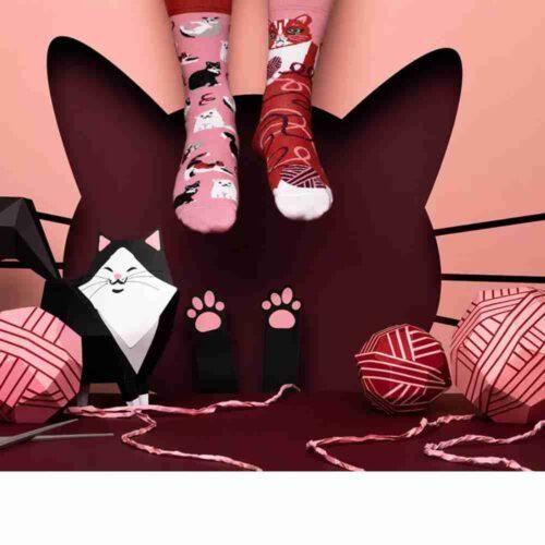 Many Mornings Socken Playful Cat