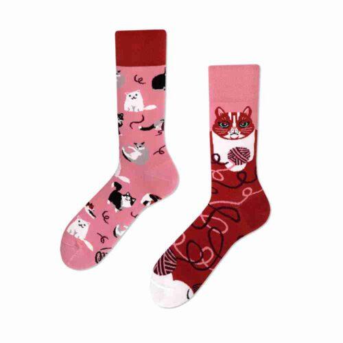 Many Mornings Socken Playful Cat – Bild 2